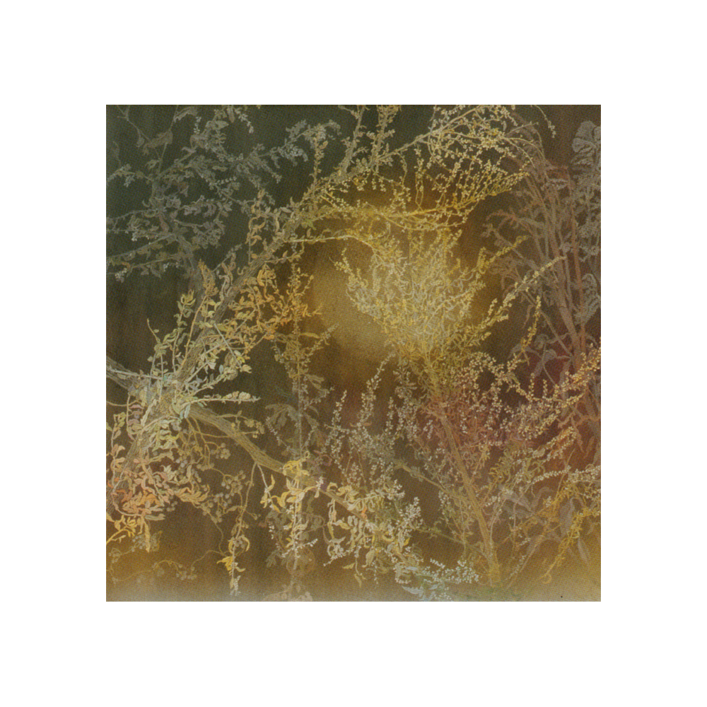 蓬 / (108×108)2012年 日本画 臥龍桜日本画大賞展